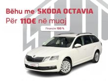 ID: 6453 SKODA OCTAVIA 1.6TDI - BLUEMOTION - HIGHLINE