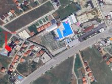 Shitet trulli 3.50 ari në Prizren