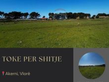 Toke buqesore ne Shitje