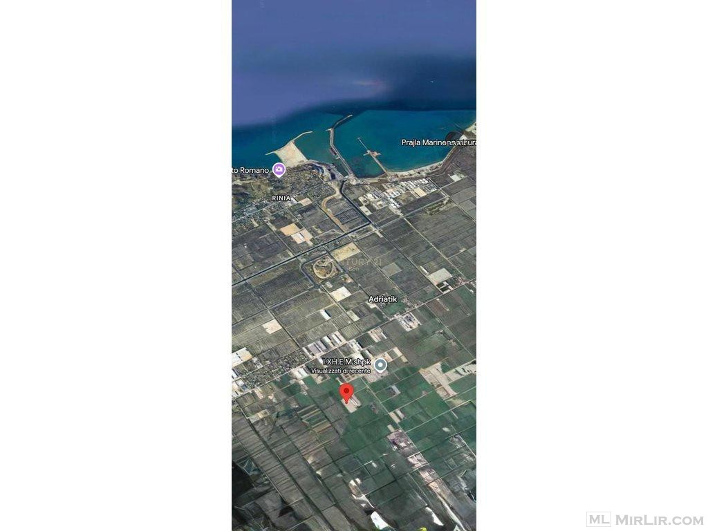 SHITET TOKE NË ZONË INDUSTRIALE –SEKTORI RINIA- 0676475921