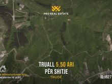 Truall 5.50 Ari për #SHITJE në Trudë