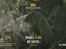 Truall 4 Ari për #SHITJE në Sofali