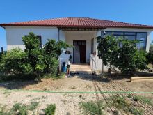Kavajë,Shtëpi private +3640 m² tokë vreshtari + ullishte