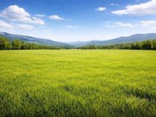 TOKE PRANE URES SE GJOLES - 1.500.000€ | 50000 m²