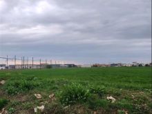 TOKE PER LAGJE