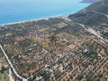 SHITET TOKË 5000m², 800m nga deti 📍në BORSH
