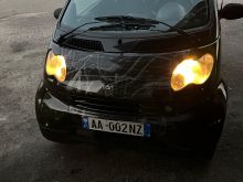 Smart vogel panoram