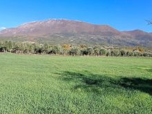 (S)🟢 TOKË NË SHITJE – DAIAS, TIRANË
