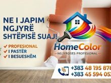 Moler Profesional  – Shërbime në të gjithë vendin