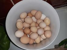 VO TPULAVE AMROK 50cent