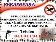 6 muaj garcion ne shfarosjen e Bubshvabave