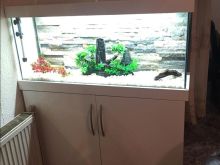 akuarium dimseionet 90x40x25