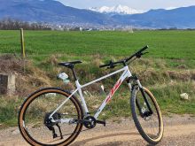 KTM 29 MTB
