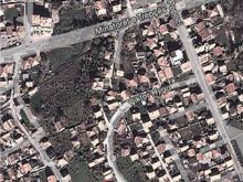 10 ari truall në Mitrovicë