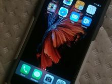 iPhone 6