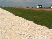 Troje ne rr.Rexhep Bislimi-Pagese edhe me Keste