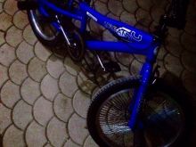 Shes bmx 