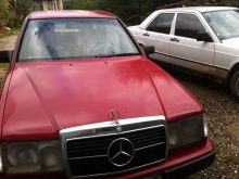 shes makinen mercedez 