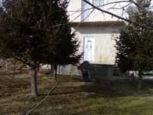 Shpallje 