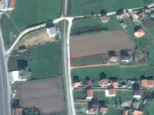 TERRA - SHITET Trualli 10 ari ne Ferizaj