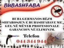 gartojme ne shfarosjen e Bubashvabave