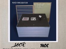 Inkubator 176 veze gjysautomatik