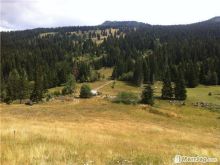 Troje te bregu i bukur Rugovë