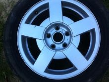 Fellne 16 coll per Passat 1 cop 