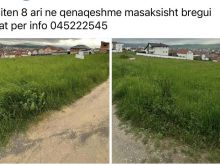 Trueli 5.ari ne Qenaqeshme -arbri Gjilan