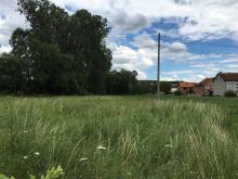  Troje afër Pishinës \"HAWAI\" te  Livadhet e Arapit