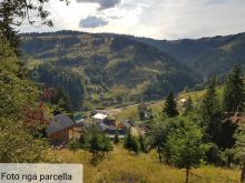 Toke ne Rugove , Fshati Stankaj 1600m Lmbidetare