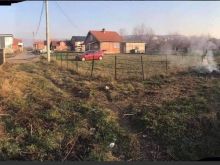 Shitet Trualli te livadhet e Arapit