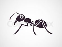 DEZINFEKTIM  BUBASHFABA INSEKTE ELEMINIM  ECO100%