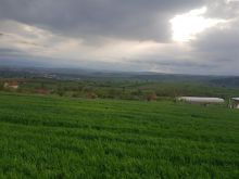 Shitet parcela me 1.43 ha