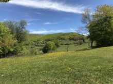 Shitet toka ne fshatin Bajgorë (9 hektarë)