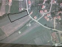 Shiten  20-60 Ari Tokë në Livoç te Ulët(Gjilan)