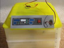 Inkubator full automatik 