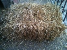 Kasht 0.70 