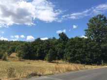 Prodaja sume i livade pored puta