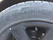 fellne Per bmw  17 coll