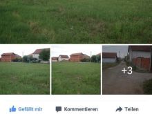 Trull