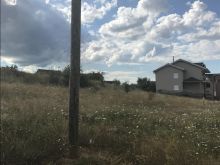 Shitet trualli ne lagjen Zabel prej 12 ari