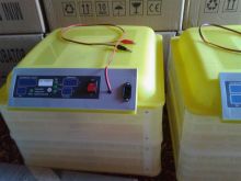 Incubator automatik