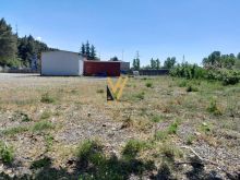 SHITET TOKE 2.430 M2 NE AKSIN MILOT-LAÇ 160.000 EURO