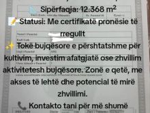 Shitet Toke Are Semani i Ri