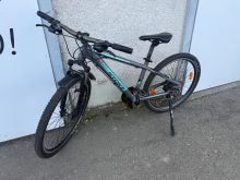 Shes stoke 26 ce 46cm masa mesatare diskofrena