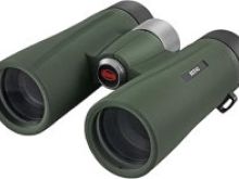 Kowa BD II XD 8x42