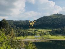 SHITET TOKE 7.400 M2 NE VOSKOPOJE 592.000 EURO