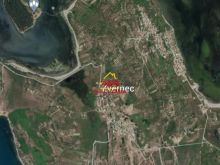 SHITET TOKË – PYLL NË ZVËRNEC VLORË🏕️