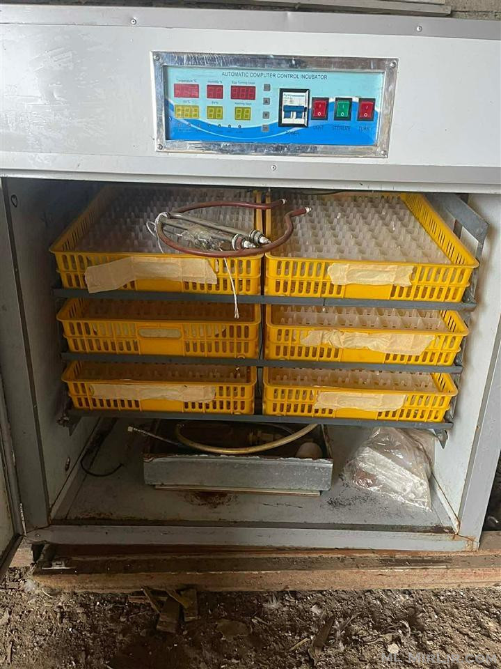 Inkubator